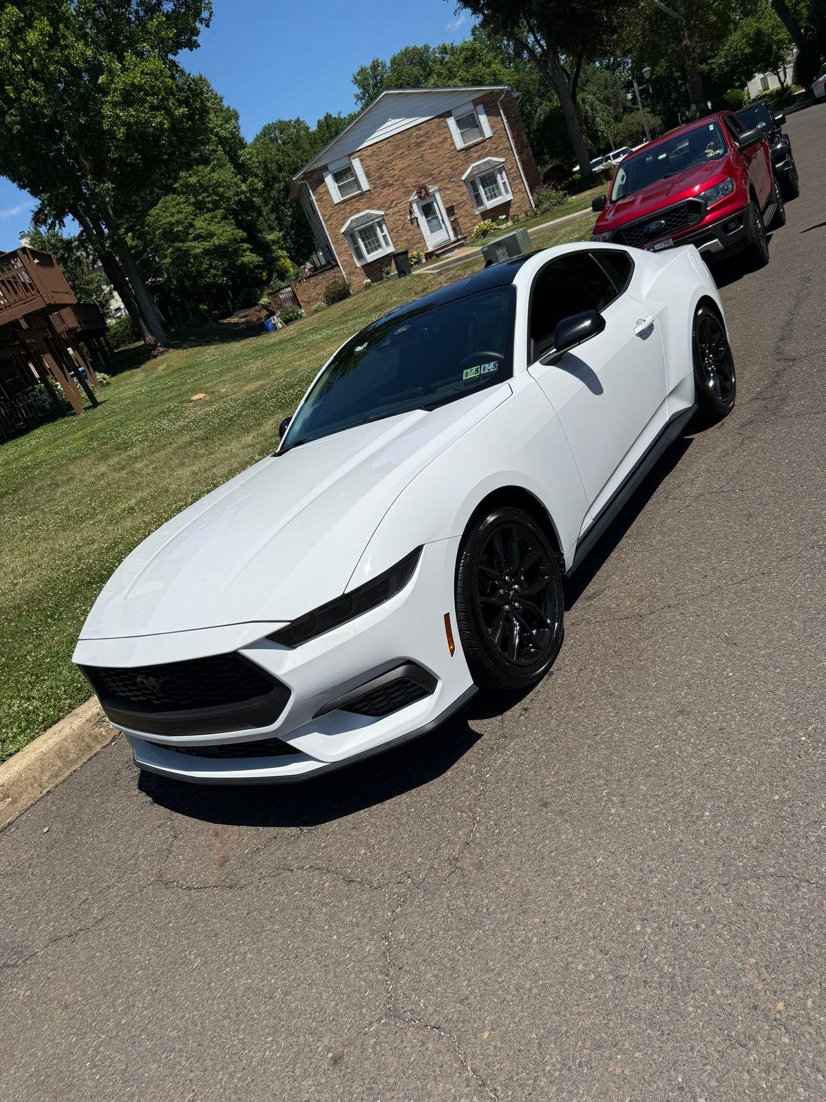 Freshly detailed white Ford Mustang, exterior